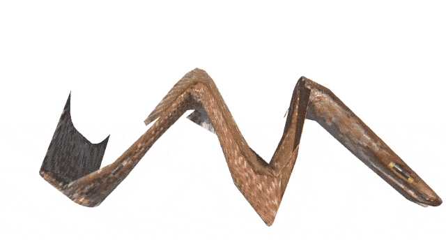 Fish moving side to side